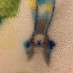 Meet your Posher, Shelly